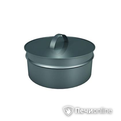 Заглушки Теплов и Сухов Заглушка ревизии Термо-Р 304 0.5 D220(120) в Саратове